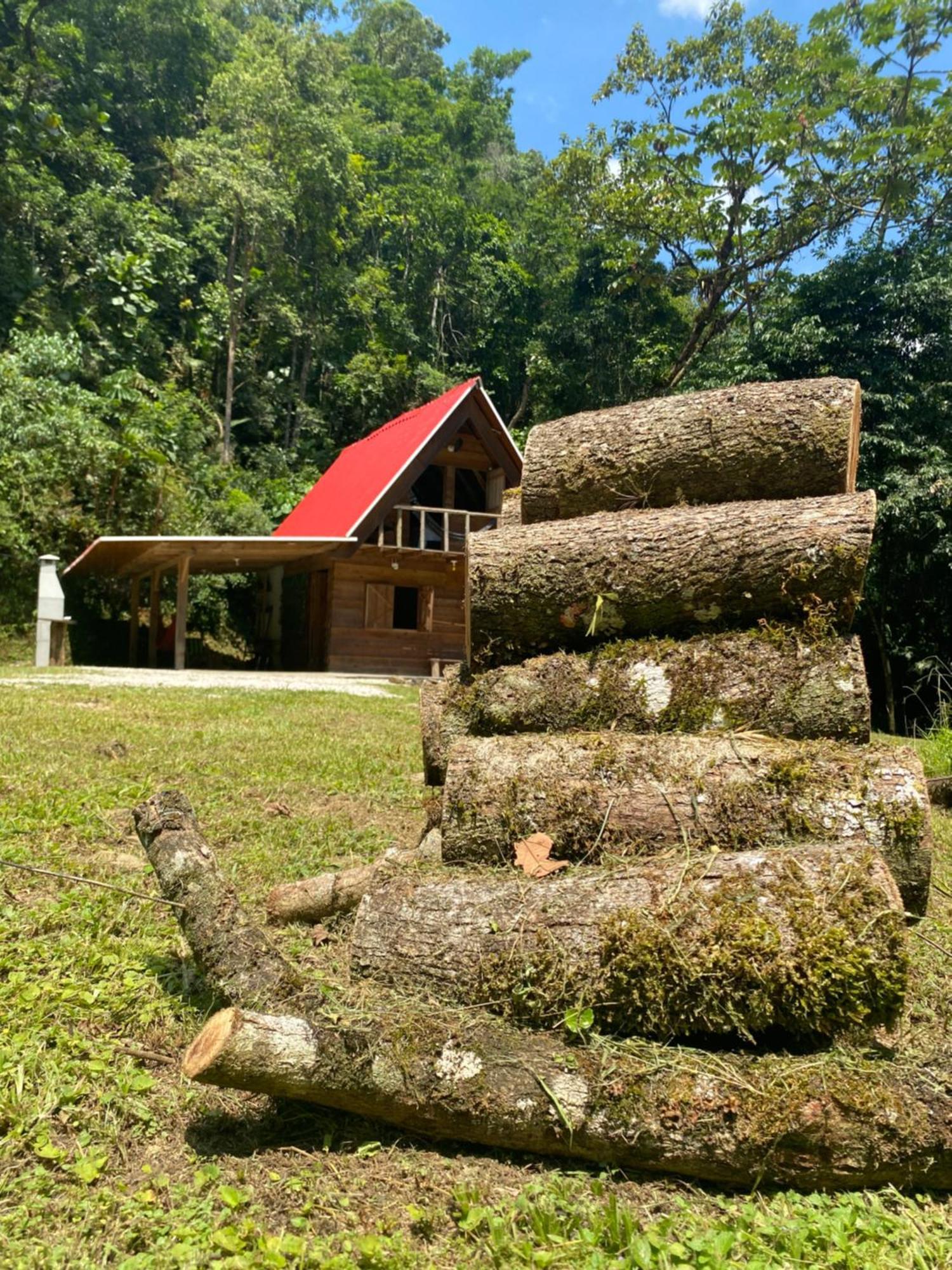 Chale Em Meio A Natureza! Guabiruba Dış mekan fotoğraf
